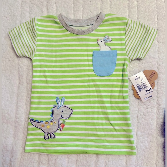 Baby Essentials!🐰Easter Outfit!🐣Matching Set/dinosaur/Bunny/Carrot/24 M-Boy - Picture 2 of 10